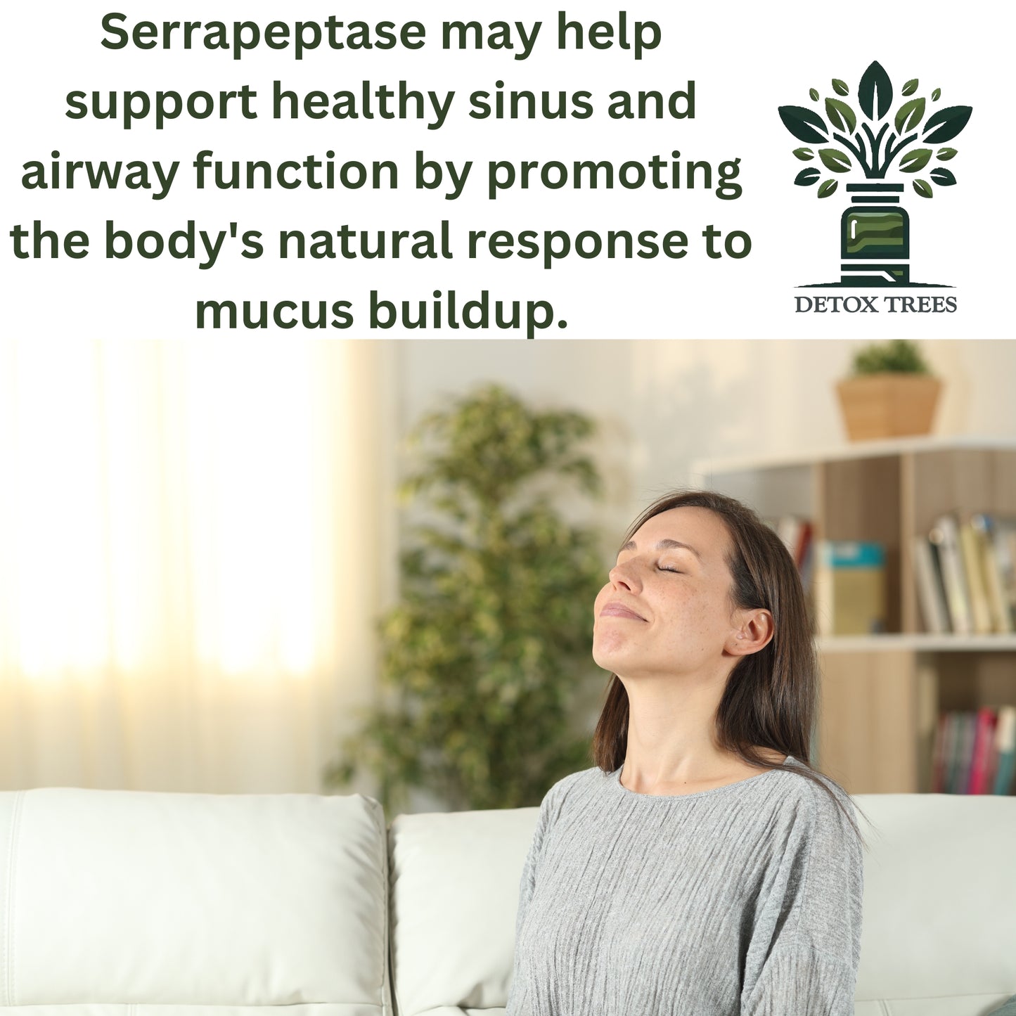 DETOX TREES Serrapeptase – 40000 SPU Proteolytic Enzymes for Sinus, Respiratory, and Joint Health – All-Natural, Non-GMO, Gluten-Free, 100% Vegetarian – 90 Capsules